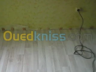 pose parquet 