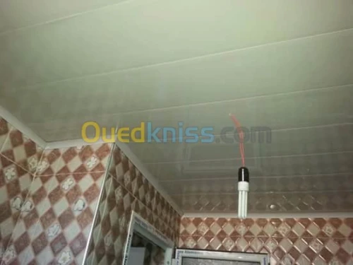 décor Faux plafonds  et separations seches 
