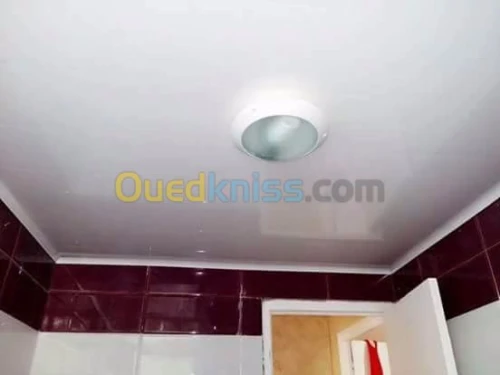 décor Faux plafonds  et separations seches 