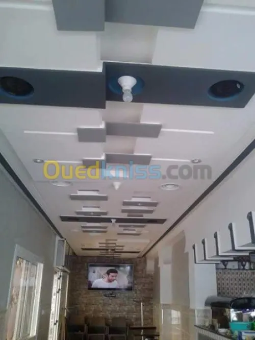 décor Faux plafonds  et separations seches 