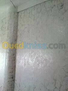 peintre professionnel