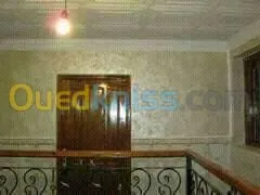 peintre professionnel