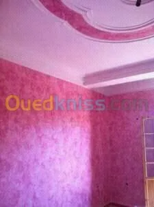 peintre professionnel