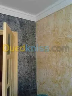 peintre professionnel