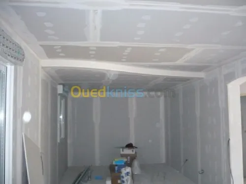 faux plafond Ba13 décoration peinture 