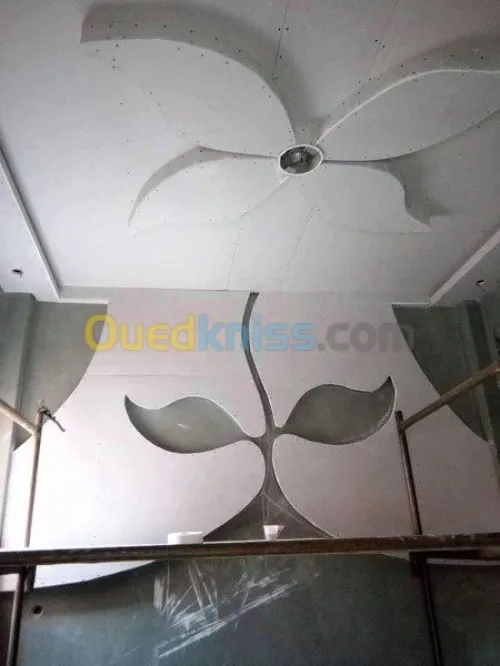 faux plafond Ba13 décoration peinture 