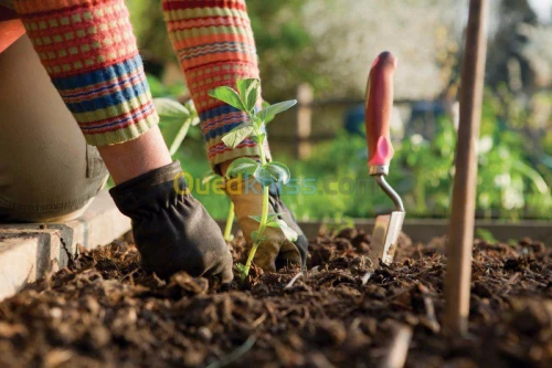 JARDINAGE NETOYAGE