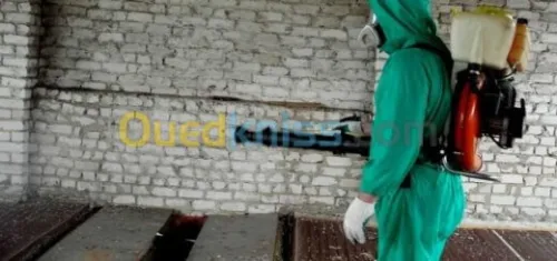 désinsectisation dératisation 4d