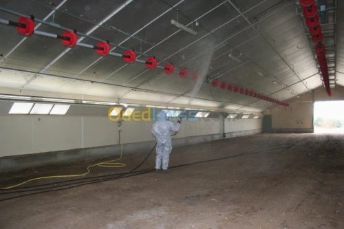 désinsectisation dératisation 4d