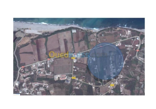 Vente Terrain Tizi ouzou Azeffoun