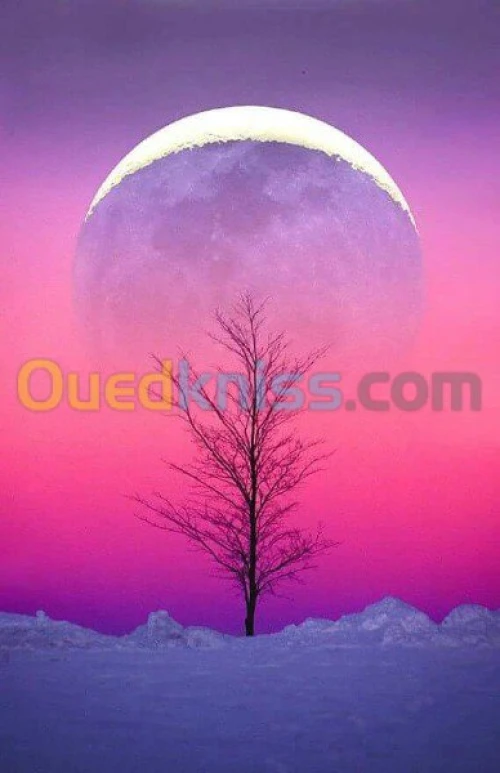 traitement et decoration du sol