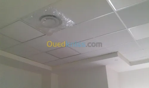 travaux placo plâtre 