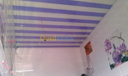 travaux placo plâtre 