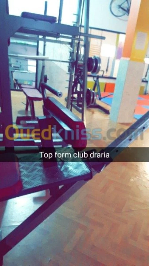 fitness et musculation femme et homme