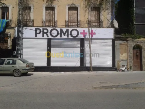 fabrication Ridou et portaille electrique