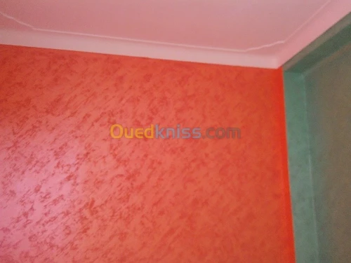 peinture et décoration maison 