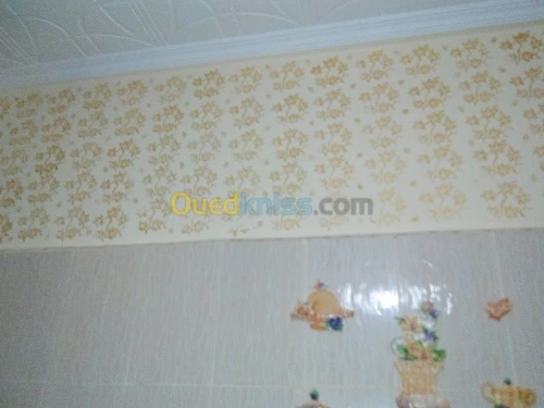 peinture et décoration maison 