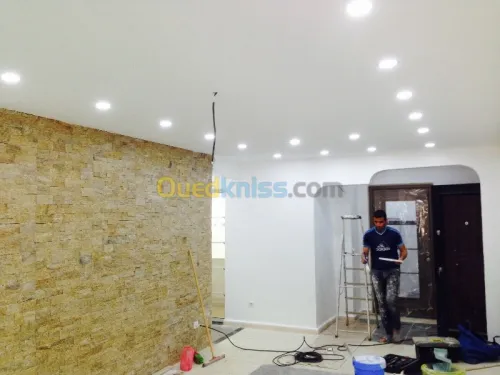 aménagement intérieur et extérieur en toutes modèle des plaques Aquapanel ex..