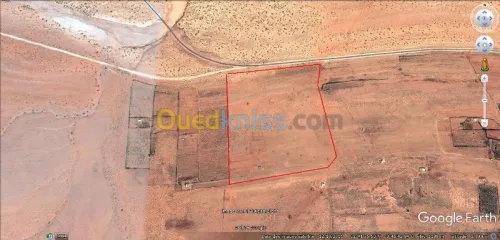 Vente Terrain Naama Sfissifa
