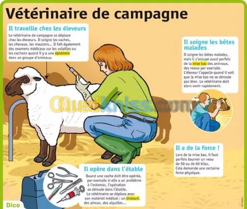  médecine préventive sante animale  