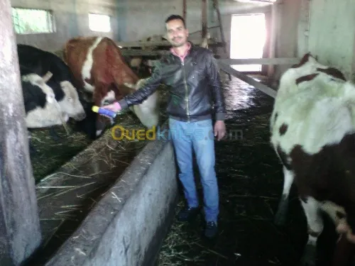 médecine préventive sante animale  