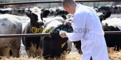 médecine préventive sante animale  