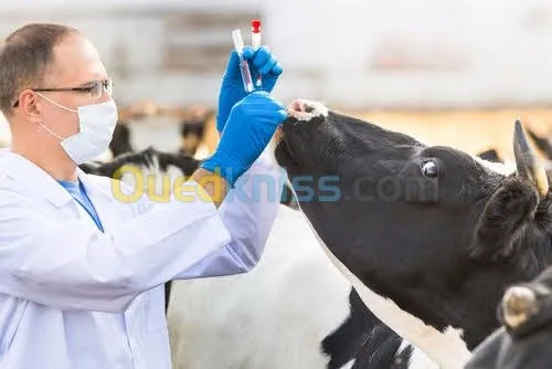  médecine préventive sante animale  