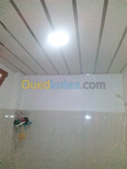 travaux decoration en ba13 et pvc