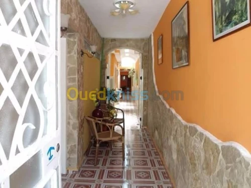 Pose et déco en pierre ORAN ALGER  