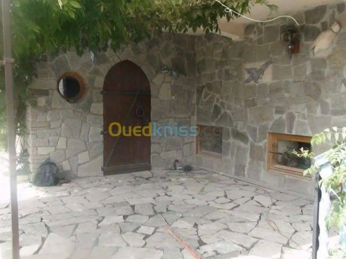 Pose et déco en pierre ORAN ALGER  