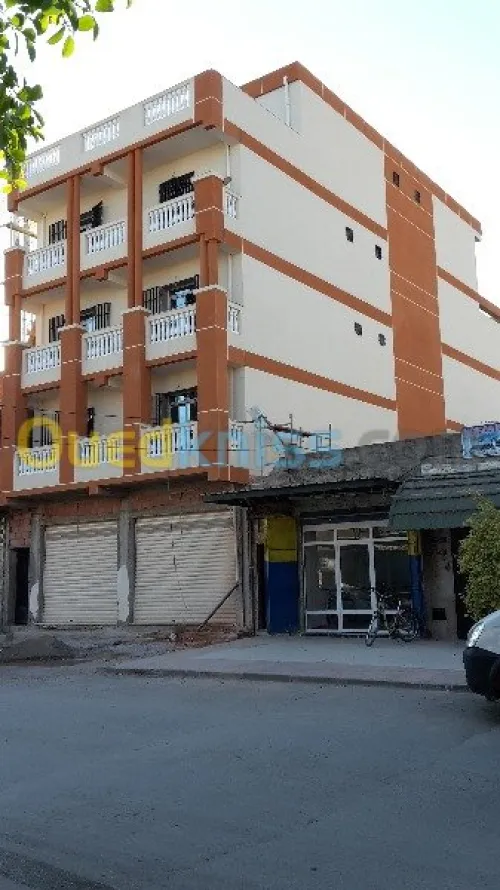  Ravalement de Façades En Monocouche 