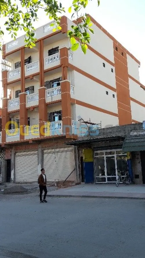  Ravalement de Façades En Monocouche 
