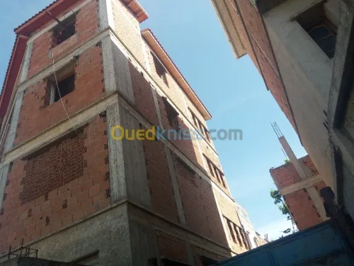  Ravalement de Façades En Monocouche 