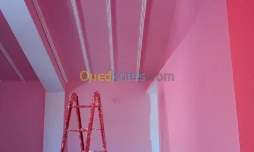peintre et placo platre deco