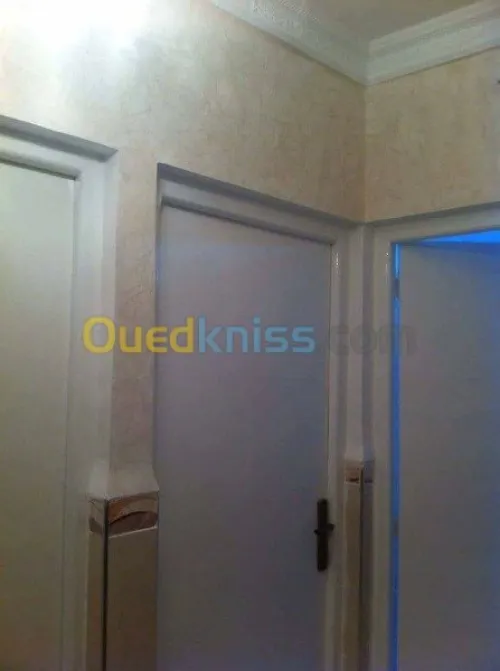 peintre et placo platre deco
