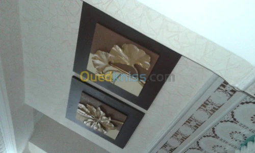 peintre et placo platre deco