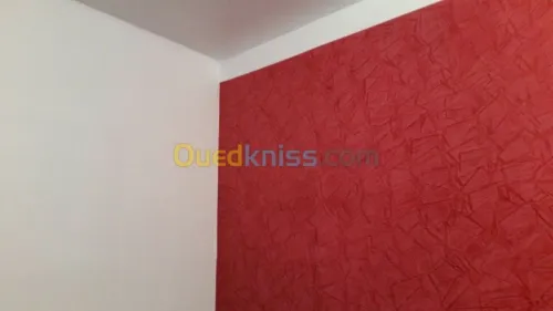 peintre et placo platre deco