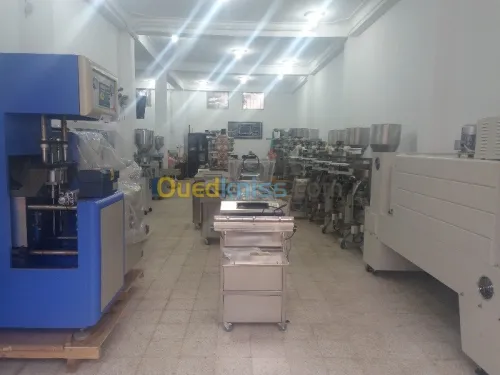 Soudeuse Manuel PFS 300