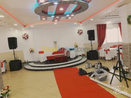 dj professionnel pour toutes vos soirees et séminaires