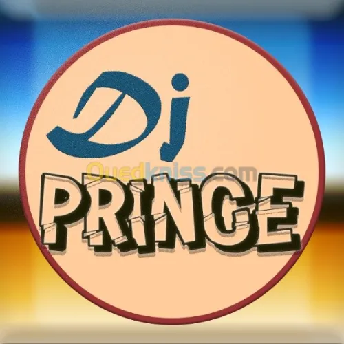 dj professionnel pour toutes vos soirees et séminaires