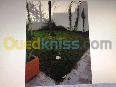 Location Villa Alger Dely brahim