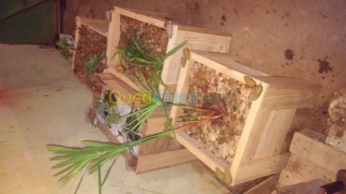 Aminagement espace verte et jardinage 