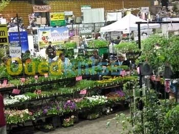 Foire expovente