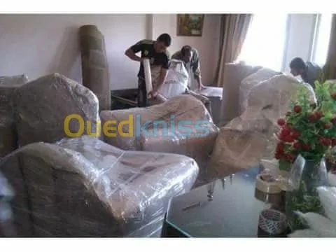 DEMENAGEMENT/TRANSPORT /MANUTENTION++