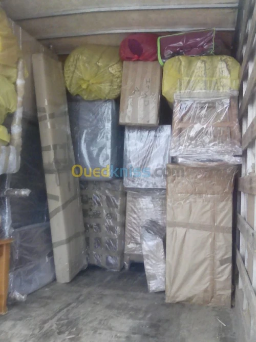 DEMENAGEMENT/TRANSPORT /MANUTENTION++