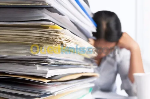 Archivage numérique. PDF