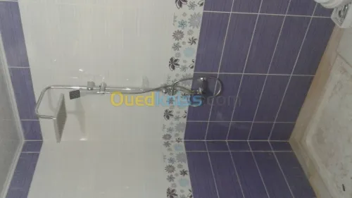 PLOMBERIE SANITAIRE  ET GAZ