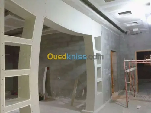 Tout type de faux-plafond