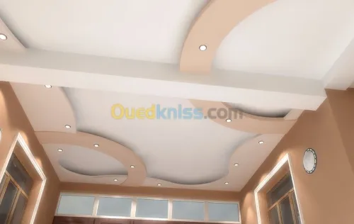Tout type de faux-plafond
