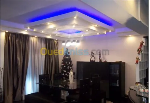 Tout type de faux-plafond
